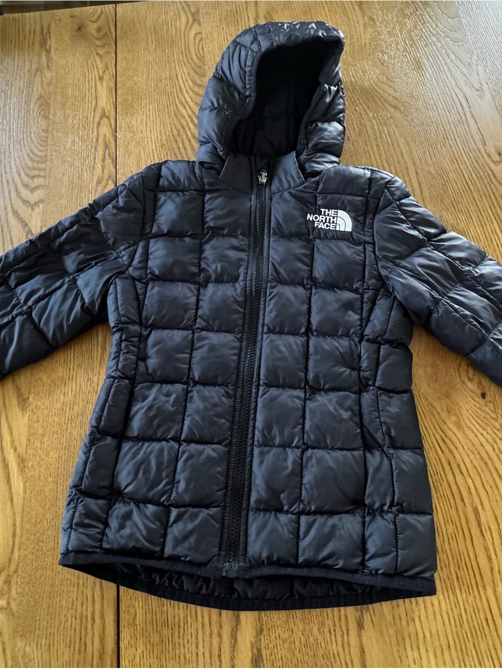 The North Face Kids Black Quilted Hooded Puffer Jacket